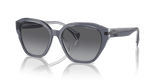 Transparent Grey / Polarized Gradient Grey (6187T3)