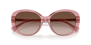 Shiny Transparent Violet / Gradient Brown (611813)