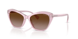 Opal Violet / Gradient Brown (628413)