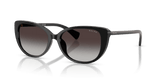 Shiny Black / Gradient Grey (500187)