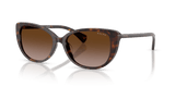 Shiny Dark Havana / Gradient Brown (500313)