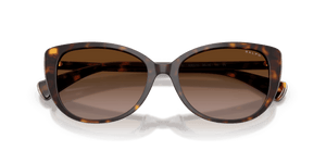 Shiny Dark Havana / Gradient Brown (500313)