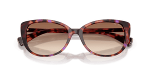 Shiny Violet Havana / Gradient Brown (623913)