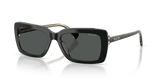 Shiny Black On Transparent / Grey (629787)