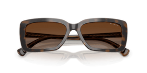 Tortoise / Brown Gradient Polarized (6294T5)