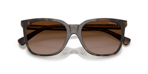 Dark Havana On Transparent / Gradient Brown (629413)