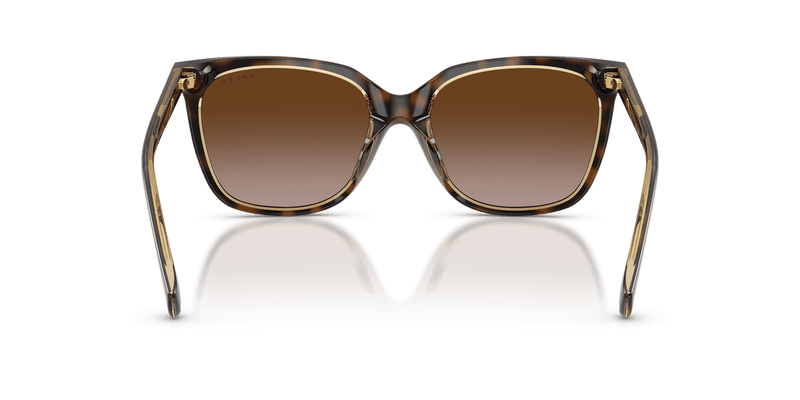 Ralph RA5343U in Dark Havana On Transparent / Gradient Brown (629413) - Alternate View