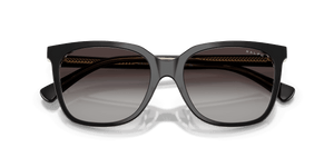 Shiny Black On Transparent / Grey Gradient (62978G)