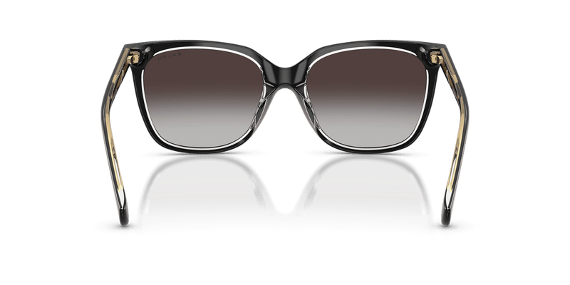 Ralph RA5343U in Shiny Black On Transparent / Grey Gradient (62978G) - Alternate View