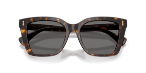 Shiny Dark Havana / Polarized Grey (500381)