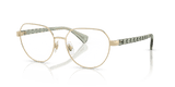 Shiny Pale Gold (9494)