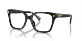 Shiny Black (5001)