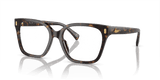 Shiny Dark Havana (5003)
