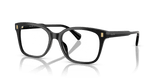 Shiny Black (5001)