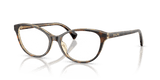Transparent Dark Tortoise (6294)
