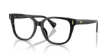 Shiny Black (5001)