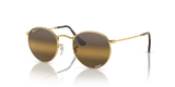 Arista Gold / Silver & Brown Polarized+