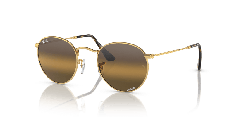 Ray-Ban ROUND METAL RB3447 in Arista Gold / Silver & Brown Polarized+ - Alternate View