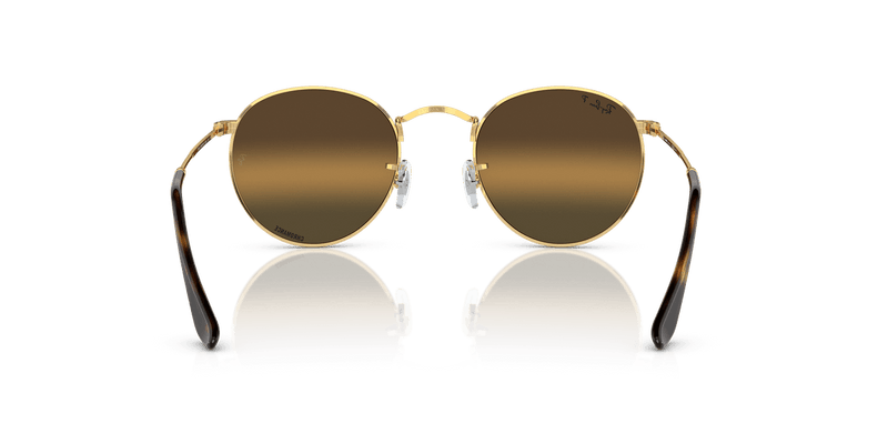 Ray-Ban ROUND METAL RB3447 in Arista Gold / Silver & Brown Polarized+ - Alternate View