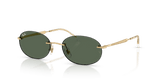 Arista Gold / Dark Green