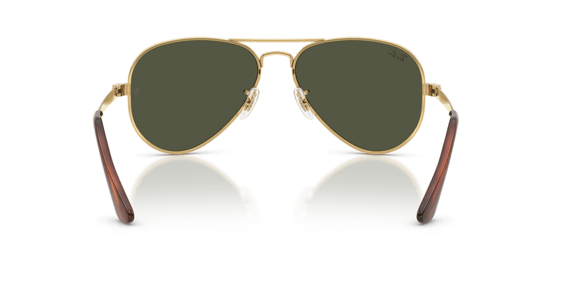 Ray-Ban AVIATOR MAX RB3925 in Arista Gold / Green - Back View
