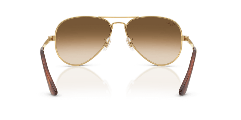 Ray-Ban AVIATOR MAX RB3925 in Arista Gold / Clear Gradient Brown - Alternate View