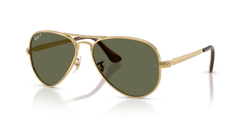 Ray-Ban AVIATOR MAX RB3925 in Arista Gold / Green Polarized - Alternate View