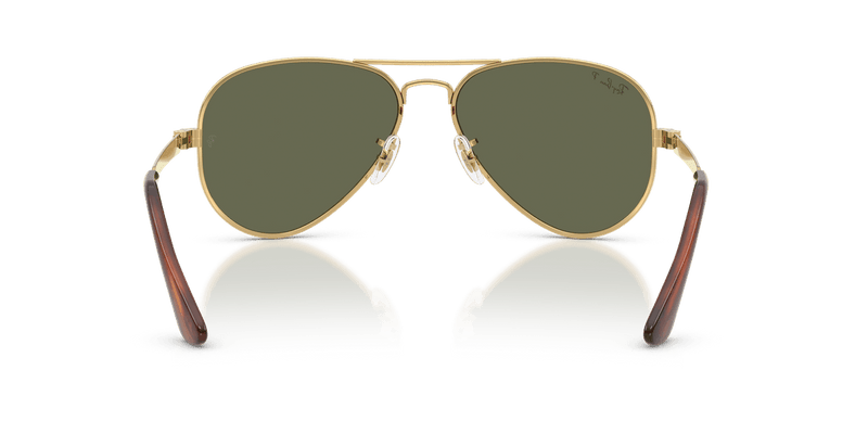 Ray-Ban AVIATOR MAX RB3925 in Arista Gold / Green Polarized - Alternate View