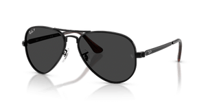 Black / Black Polarized