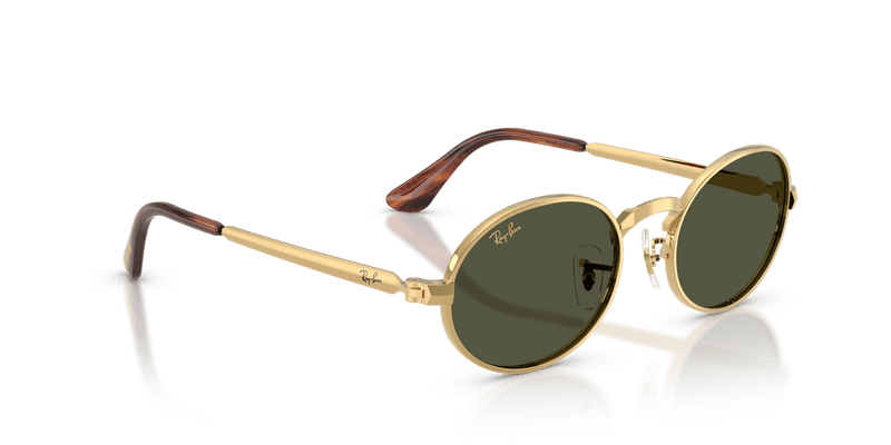 Ray-Ban RB3931 in Arista Gold / Green (001/31) - Temple Detail