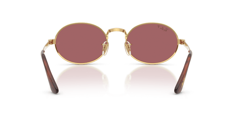 Ray-Ban RB3931 in Arista Gold / Purple Polarized - Alternate View