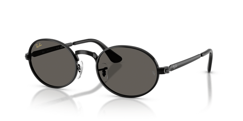 Ray-Ban RB3931 in Black / Dark Gray - Alternate View