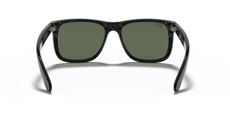 Ray-Ban JUSTIN RB4165 in Black / Dark Green - Alternate View