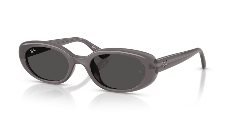 Ray-Ban RB4441D in Transparent Dark Grey - Alternate View