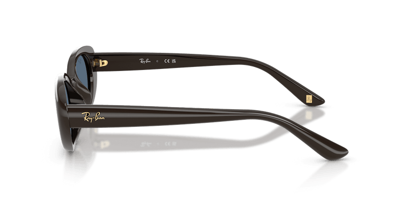 Ray-Ban RB4441D in Full Dark Brown / Dark Blue - Side View