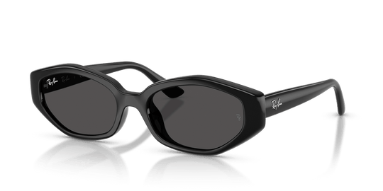 Ray-Ban RB4473D - Black / Dark Grey