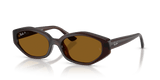 Dark Brown / Dark Brown Polarized
