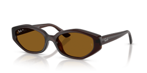 Dark Brown / Dark Brown Polarized