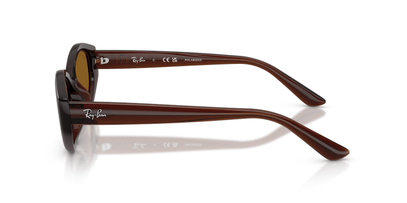 Ray-Ban RB4473D in Dark Brown / Dark Brown Polarized - Alternate View