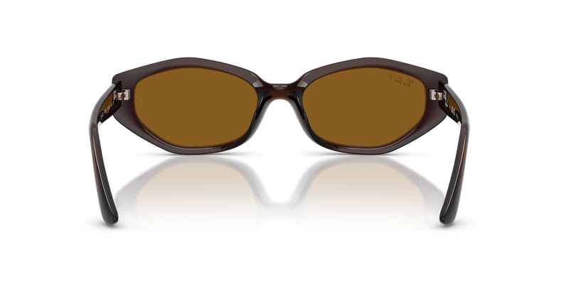 Ray-Ban RB4473D in Dark Brown / Dark Brown Polarized - Alternate View