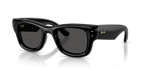 Black / Ultra Black