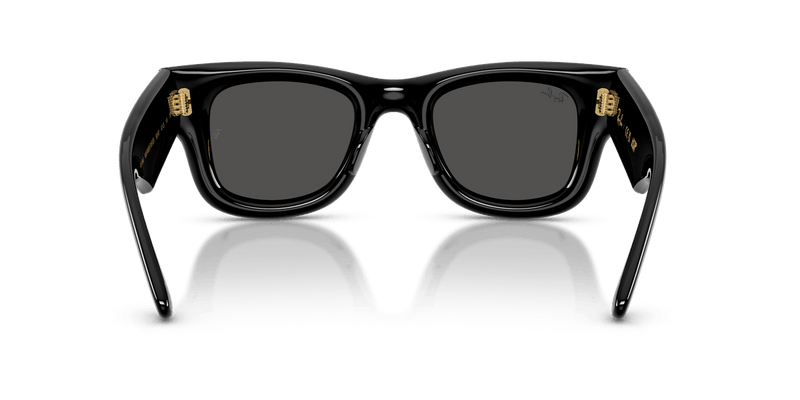 Ray-Ban WAYFARER PUFFER RB4940 in Black / Ultra Black - Alternate View