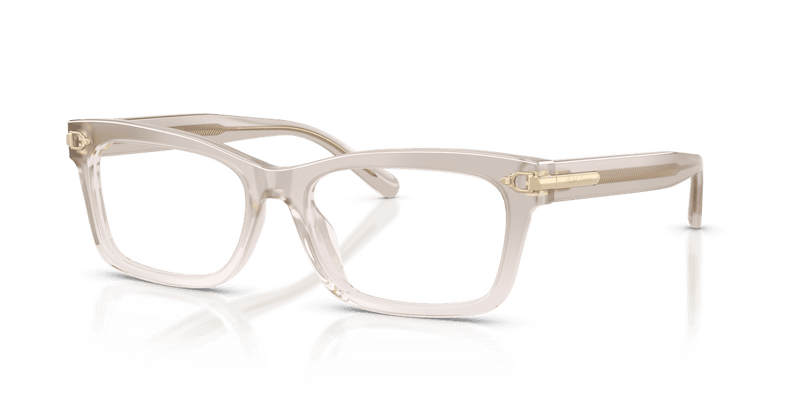 Ralph Lauren RL6255U in Transparent Grey/Pink (6112) - Alternate View