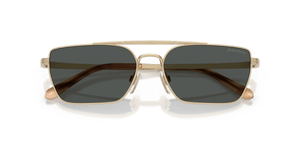 Shiny Pale Gold / Grey (911687)