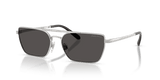 Shiny Silver / Dark Grey (900187)