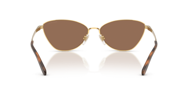 Ralph Lauren RL7093 in Shiny Gold / Brown (900473) - Alternate View