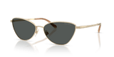 Shiny Pale Gold / Grey (911687)