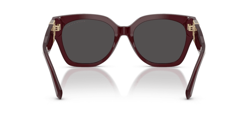 Ralph Lauren THE OVERSZED RICKY RL8221 in Solid Bordeaux / Dark Grey (508387) - Alternate View