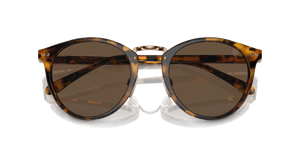 Antique Havana / Brown (513453)
