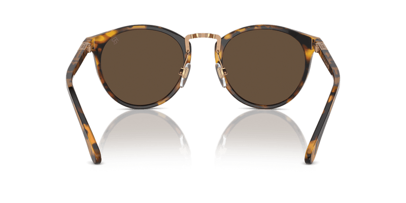 Ralph Lauren THE QUINCY RL8223 in Antique Havana / Brown (513453) - Alternate View